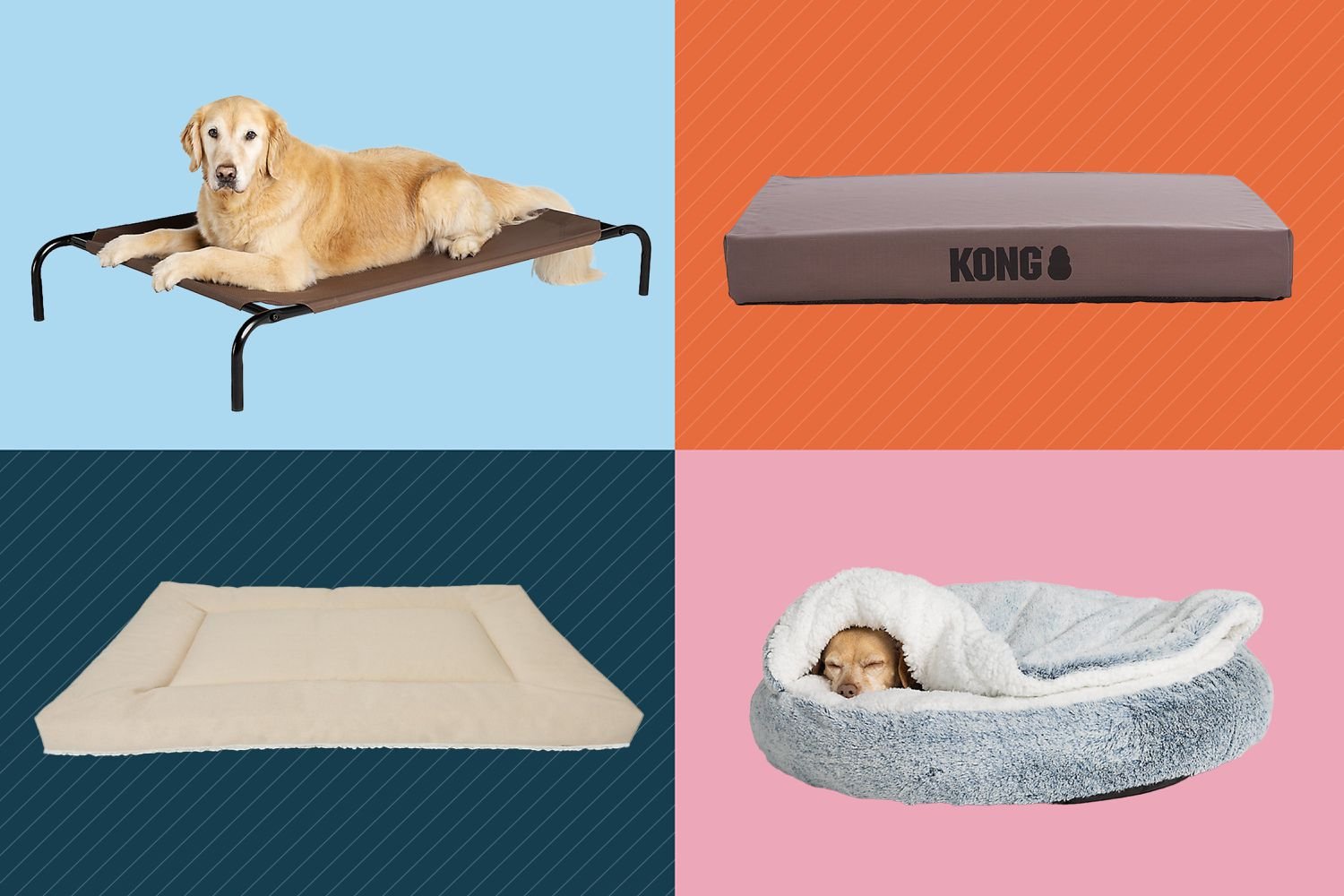 How to Clean a Kong Dog Bed Easy & Effective Tips