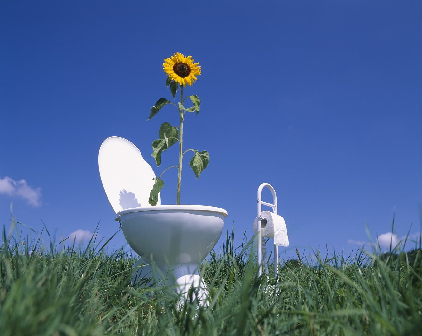 How to Clean Plant Pots