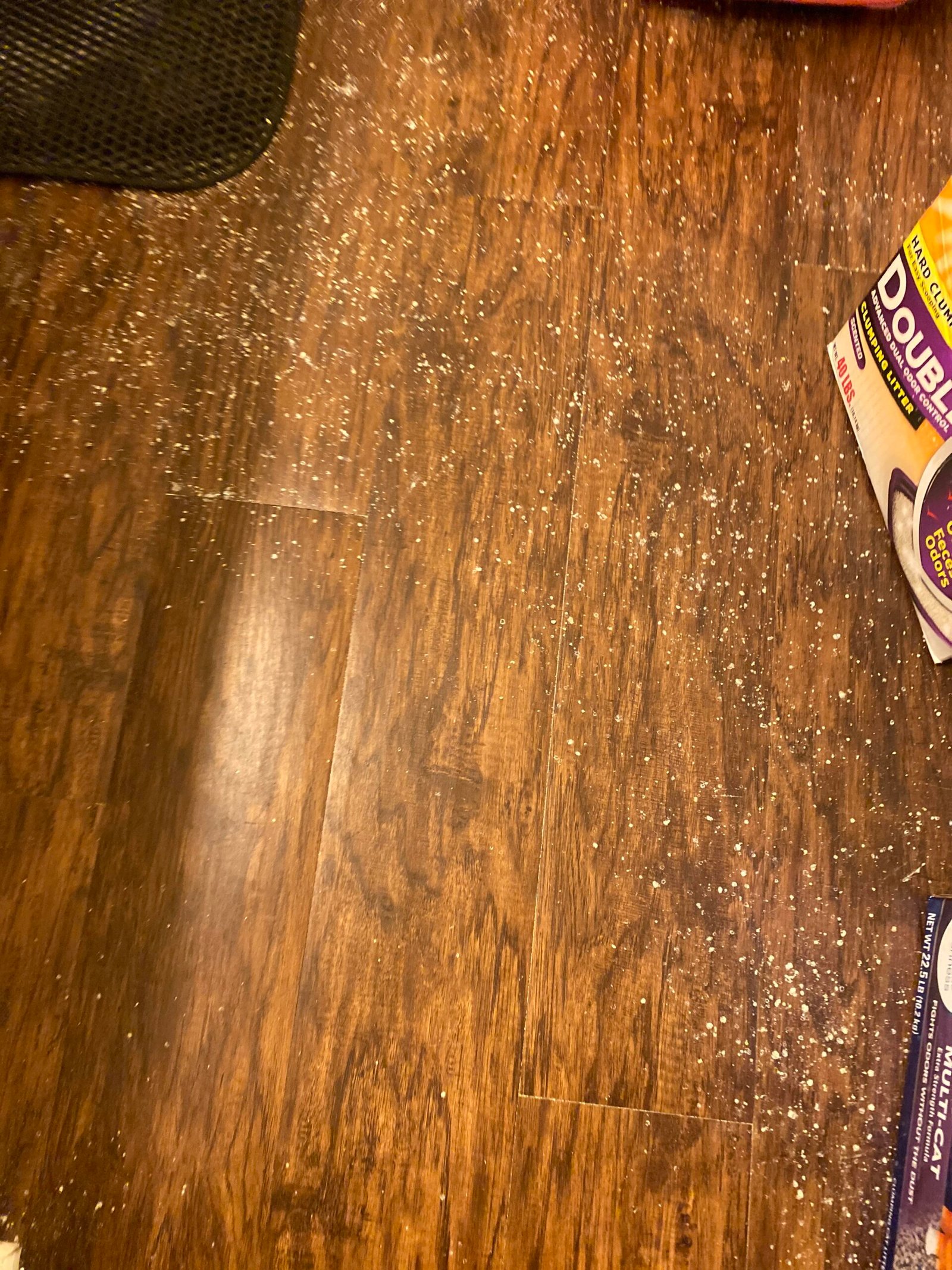 How to Clean Cat Litter Dust from Floor Quick Tips