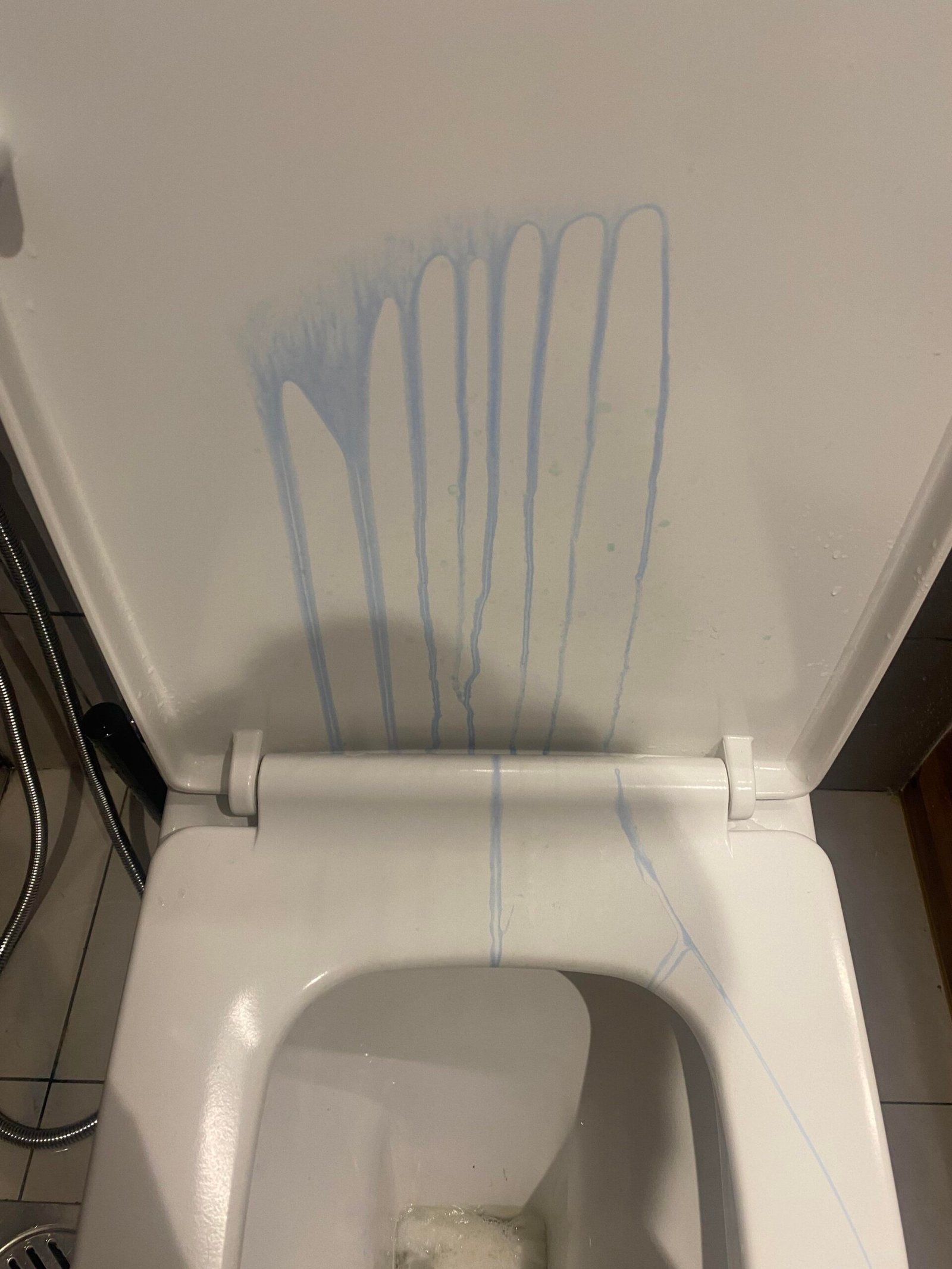 How to Clean Harpic Stains from Toilet Seat
