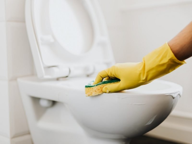 How to Keep Toilet Bowl Clean While on Vacation
