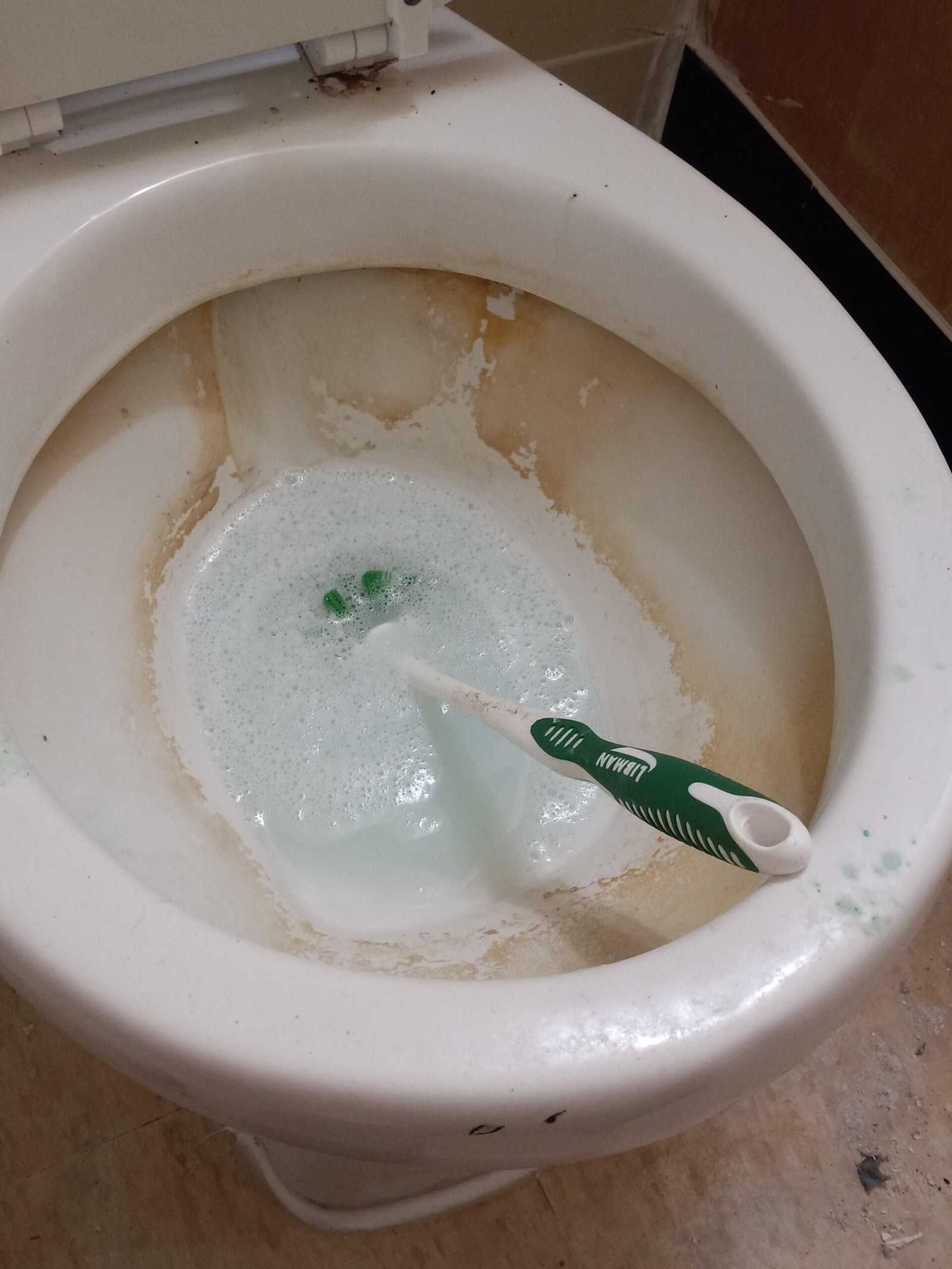 How to Plug a Toilet Bowl for Cleaning