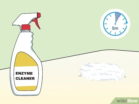 How to Clean Diarrhea from Mattress