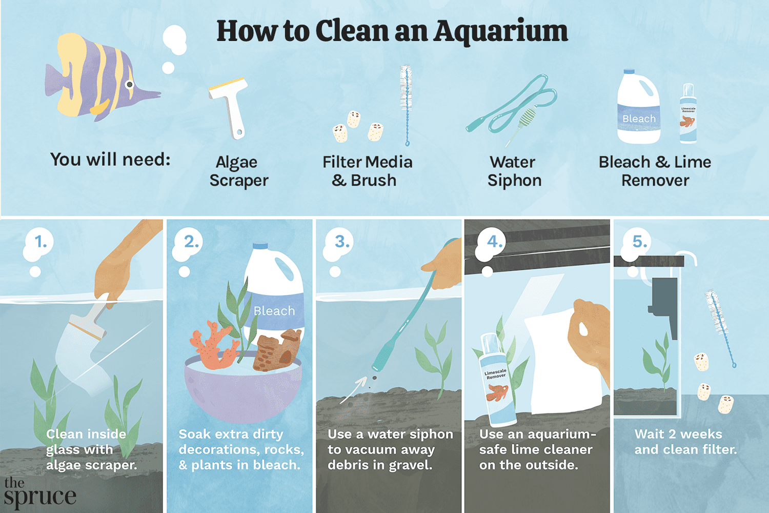 How to Clean Fish Tank Glass Inside