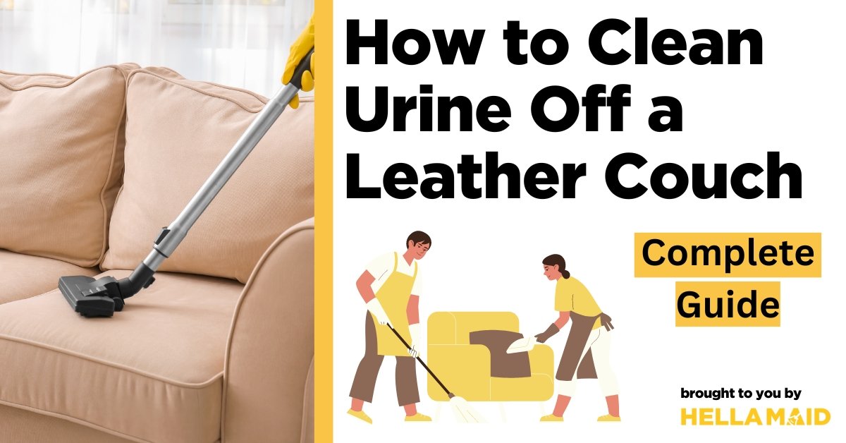 How to Clean Pee from Leather Couch