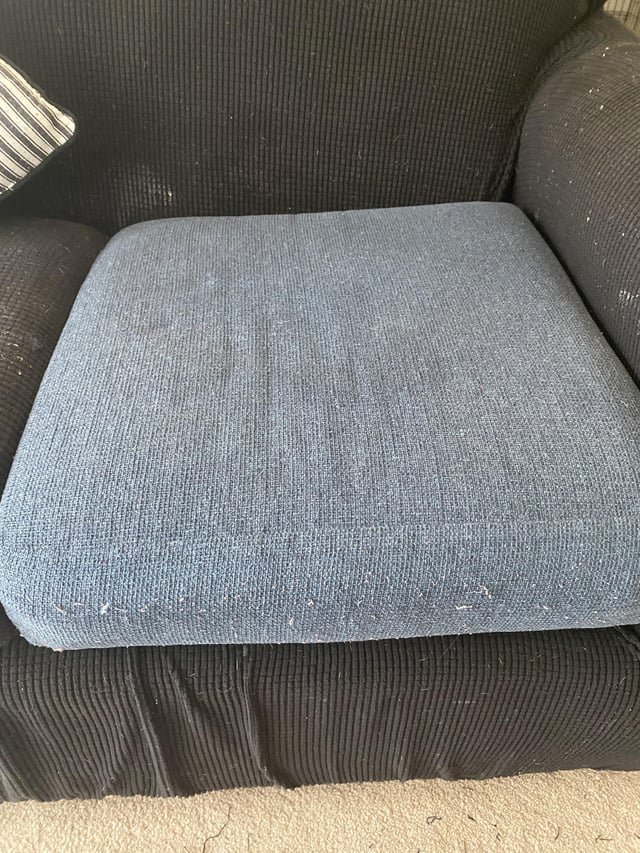 How to Clean Urine Out of Couch Cushions: Easy & Effective Tips