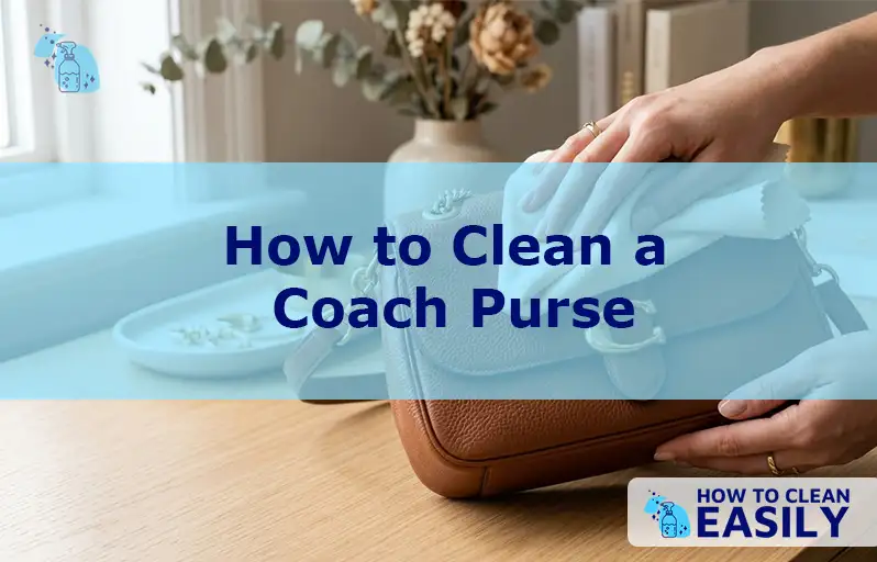 How to Clean a Coach Purse