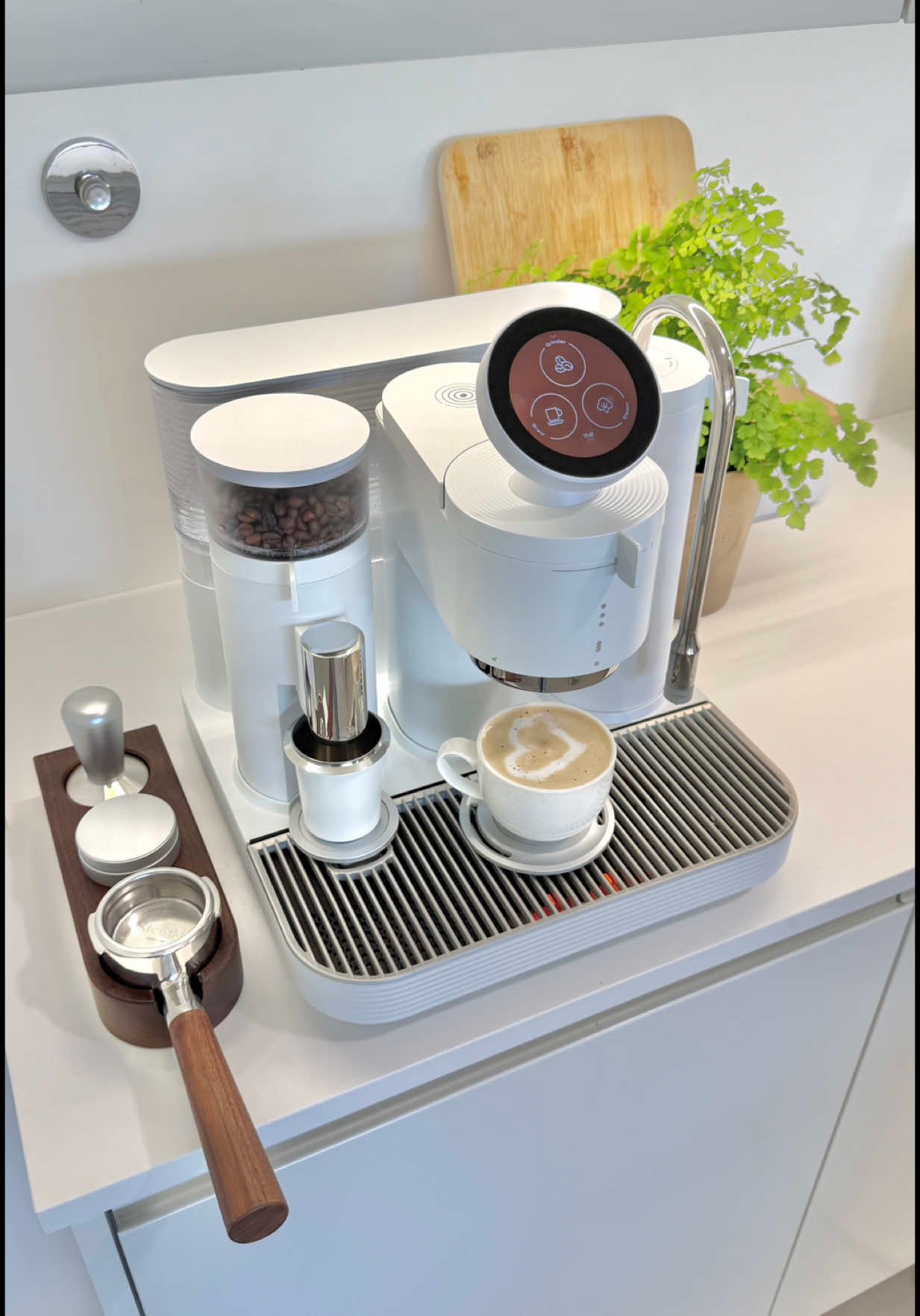 Cleaning a Breville Bambino espresso machine with a rubber disc, tablet, screwdriver, and descaling solution on a kitchen counter