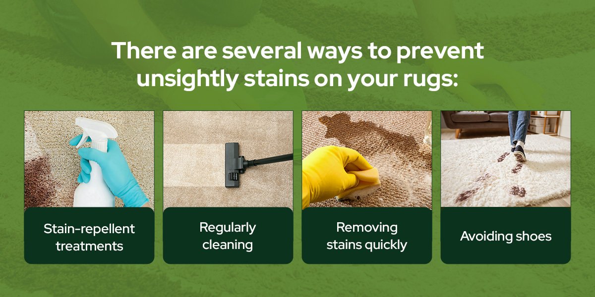 how to clean loloi rugs